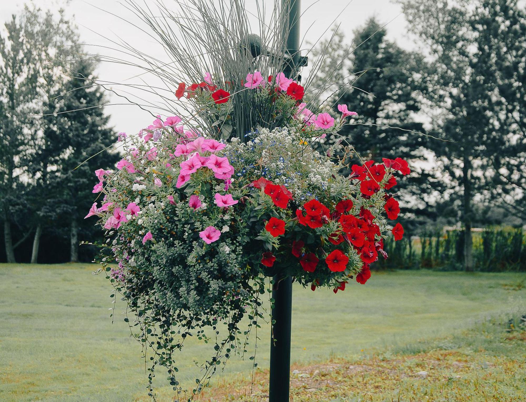Ceilidh Country Lodge Baddeck Luaran gambar